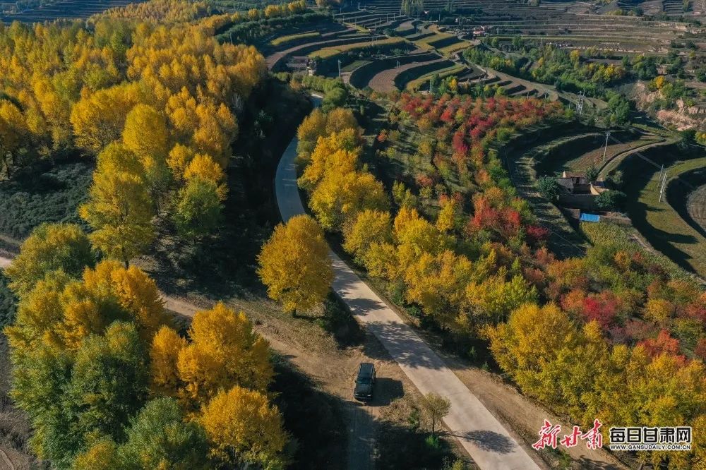會寧縣黨家峴鄉：秋色染山林 村莊畫意濃